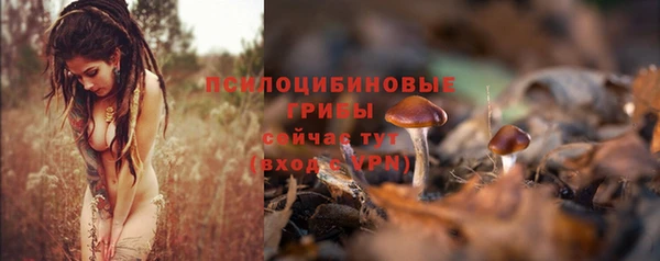 бошки Пестово