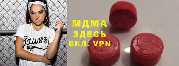 прущие грибы Абаза