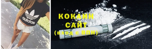 прущие грибы Абаза